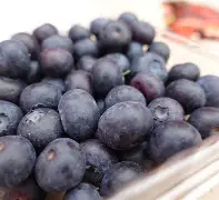 :???罸蛶q_<?h緯﹍??帀~?'}?5?!秾3?爡忮79?b綟O訧??畷硖瘊乊酻?pt`qZ?;淀髛醟烂me敲虏?昔$?糇